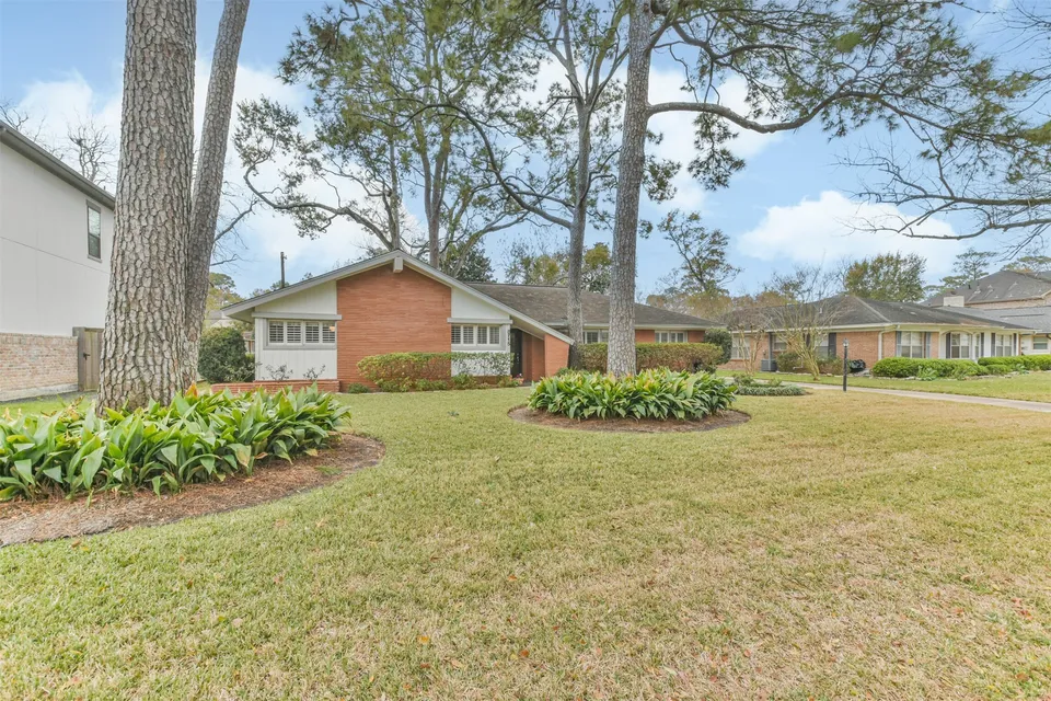 Mid-century brick ranch property beneath tall pines